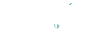 kids roam the globe logo with - travel the world with kids
